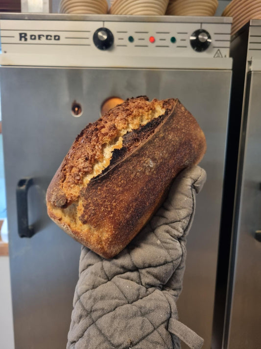 Havre-honning surdeigsbrød