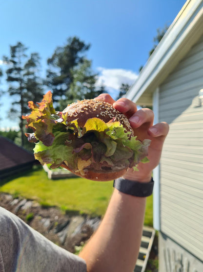 Surdeigsburgerbrød 4-pk